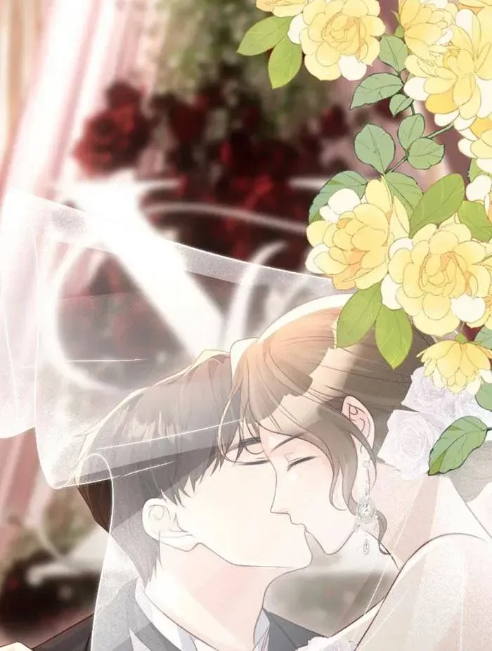 Rơi Vào Sự Si Tình Của Anh Chap 80 - Next Chap 81