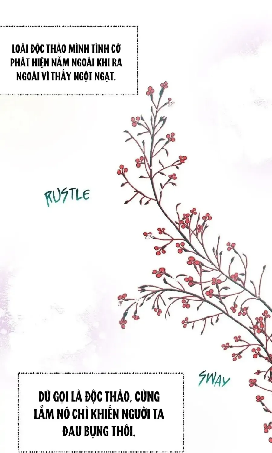 Roxana: Phương Pháp Bảo Vệ Anh Trai Của Nữ Chính Chap 32 - Next Chap 33