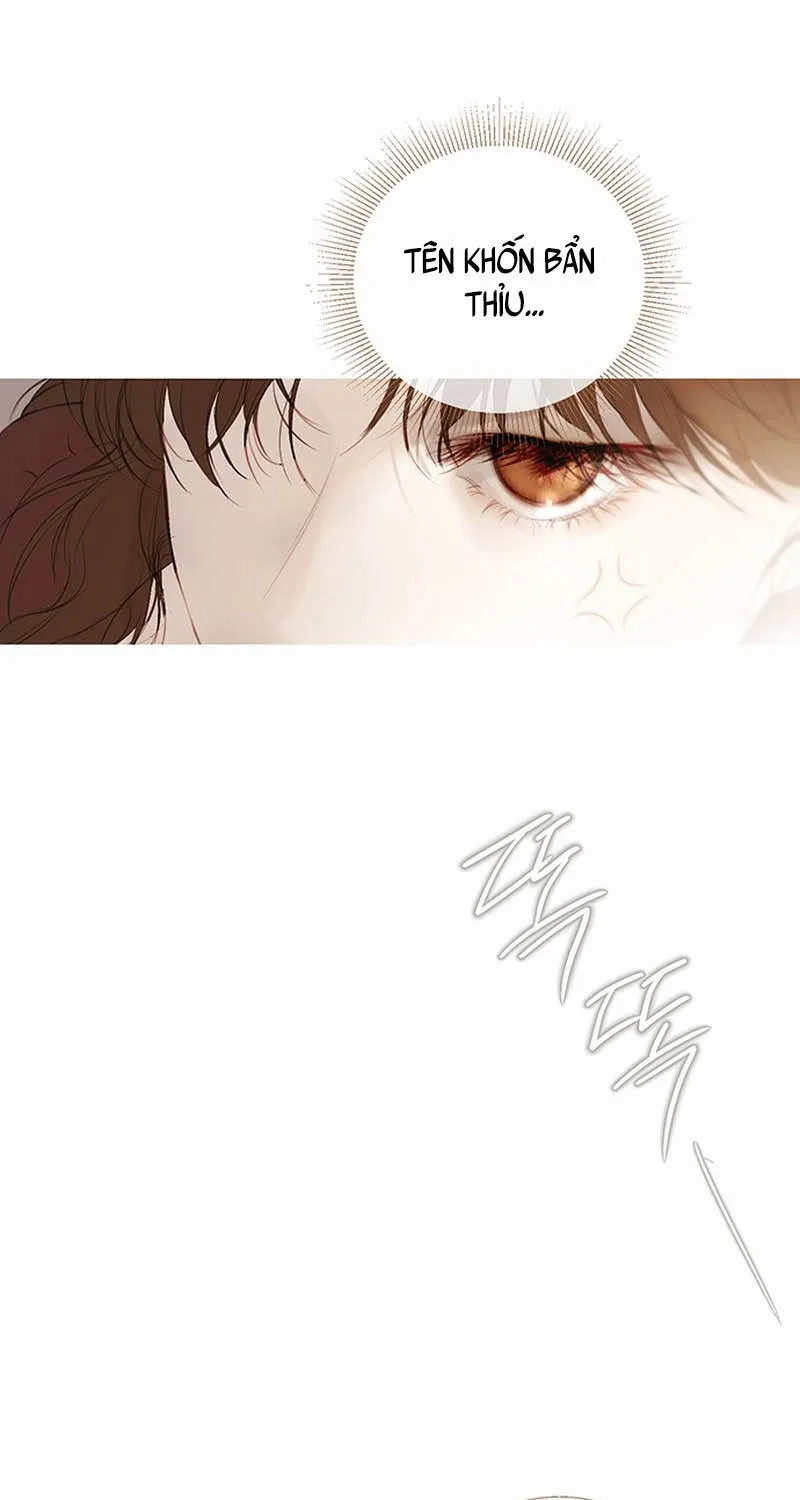 Rừng Chanh Chap 1 - Next Chap 2
