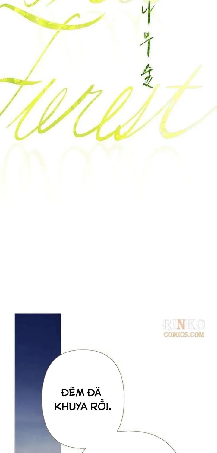 Rừng Chanh Chap 12 - Next Chap 13