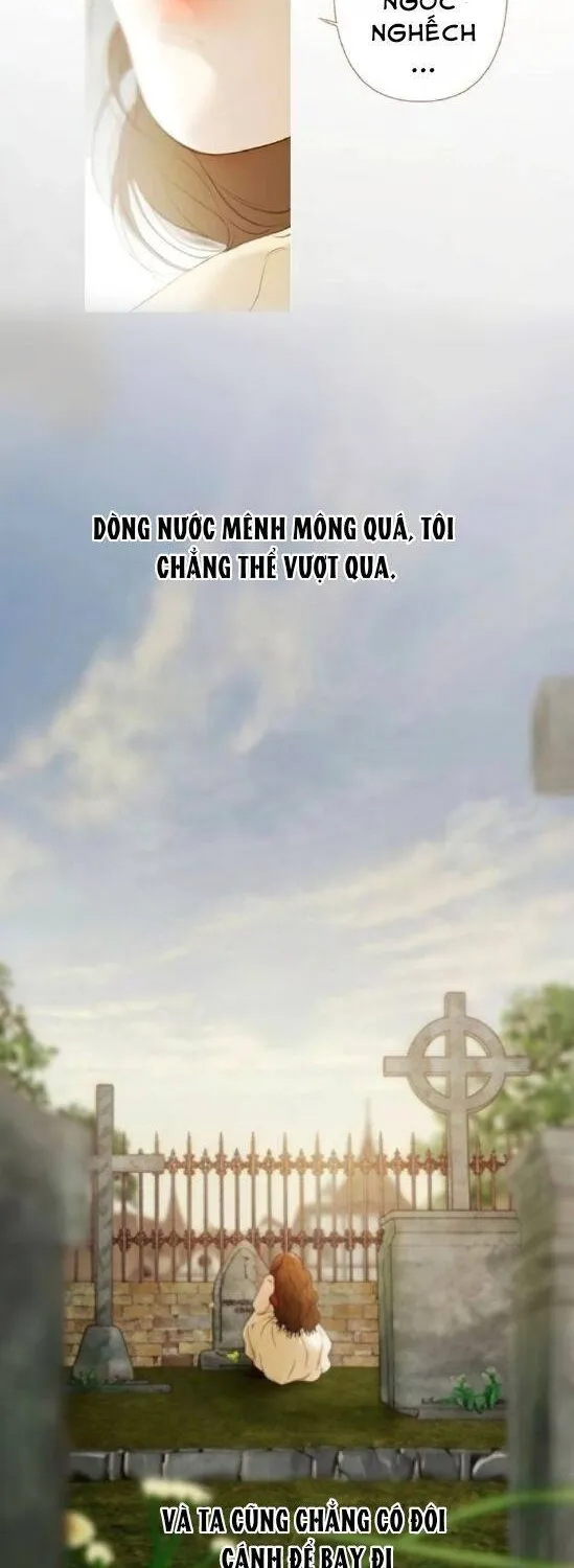 Rừng Chanh Chap 7 - Next Chap 8