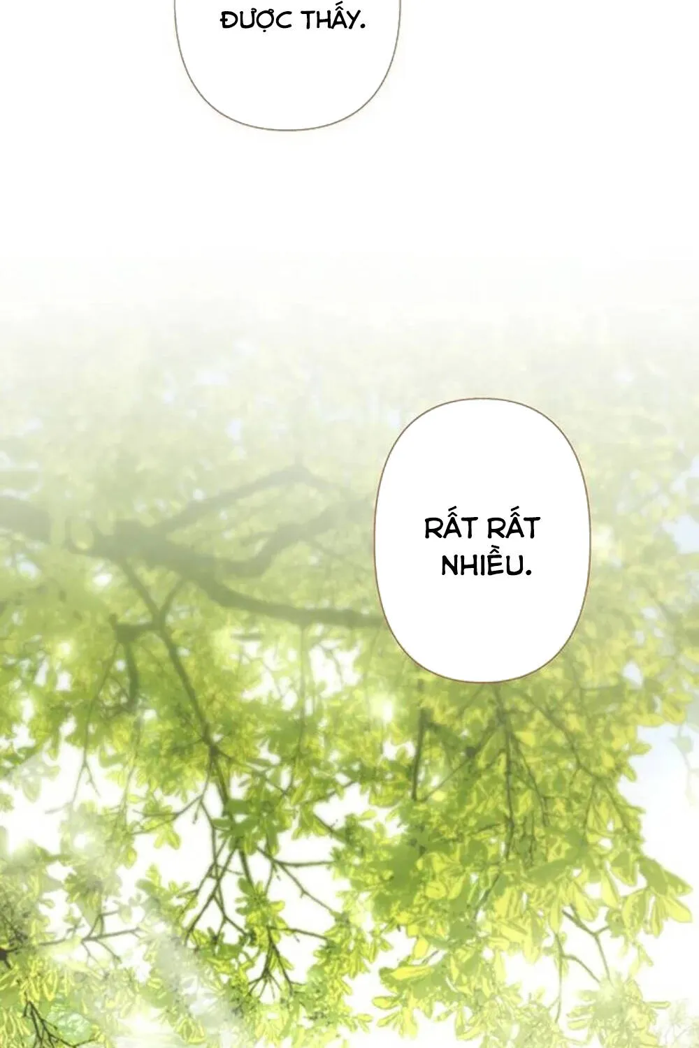 Rừng Chanh Chap 8 - Next Chap 9