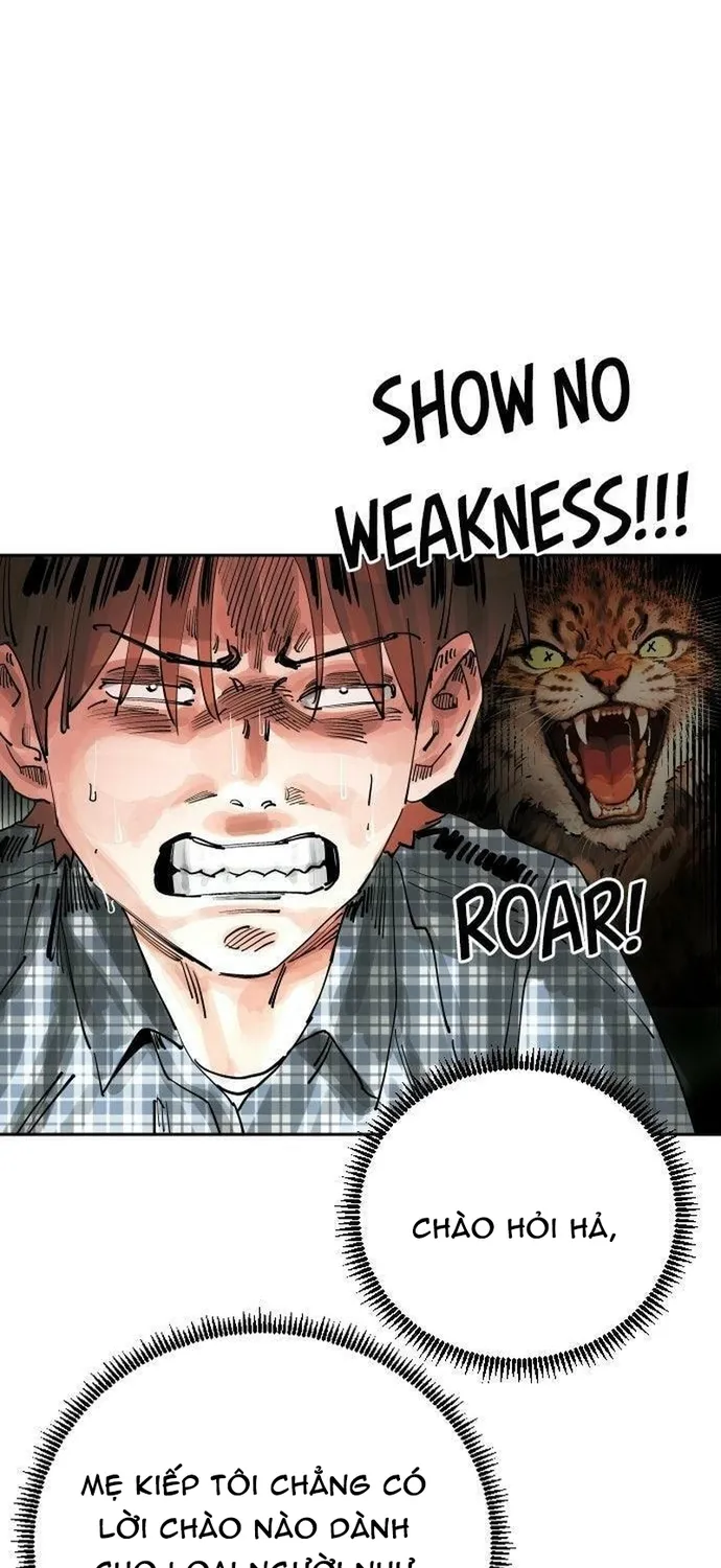 Sân Cỏ Chiến Kí Chap 214 - Next Chap 215