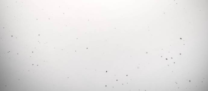 Sát Thủ Peter Chap 102.1 - Next Chap 103.1