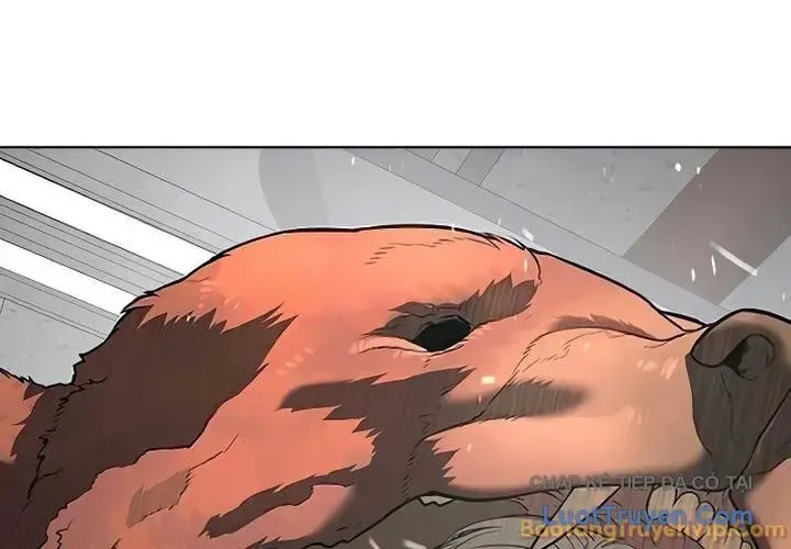 Sát Thủ Peter Chap 127 - Next Chap 128