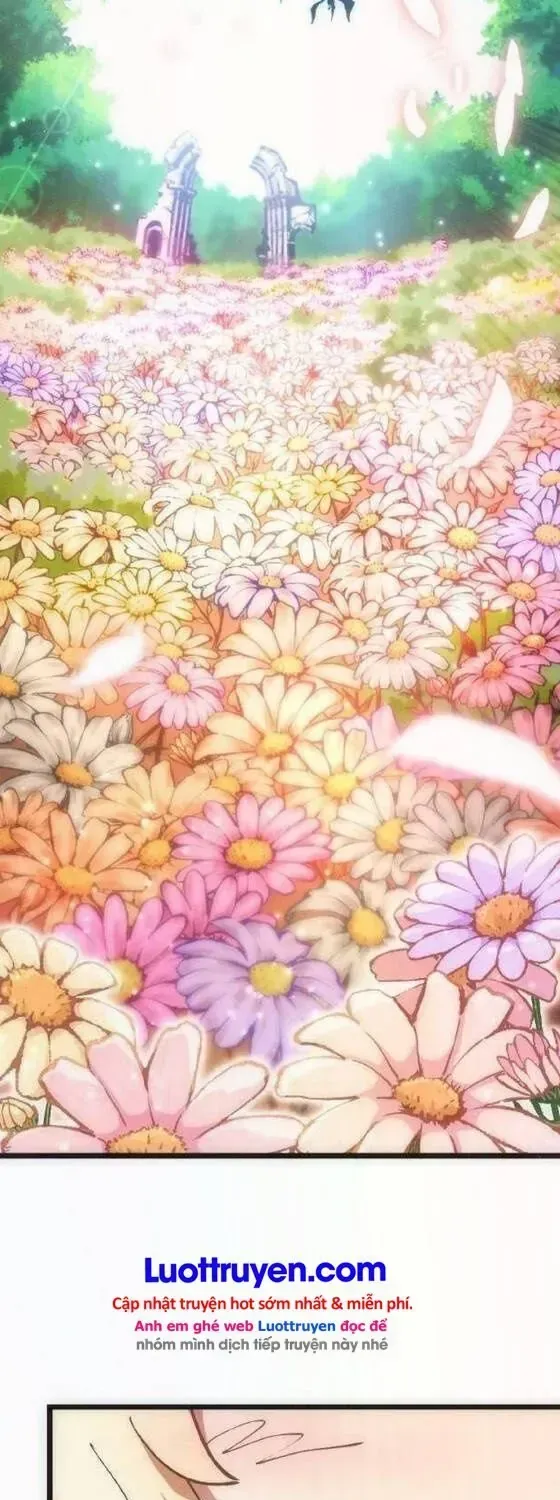 Sát Thủ Và Rồng Chap 1 - Next Chap 2