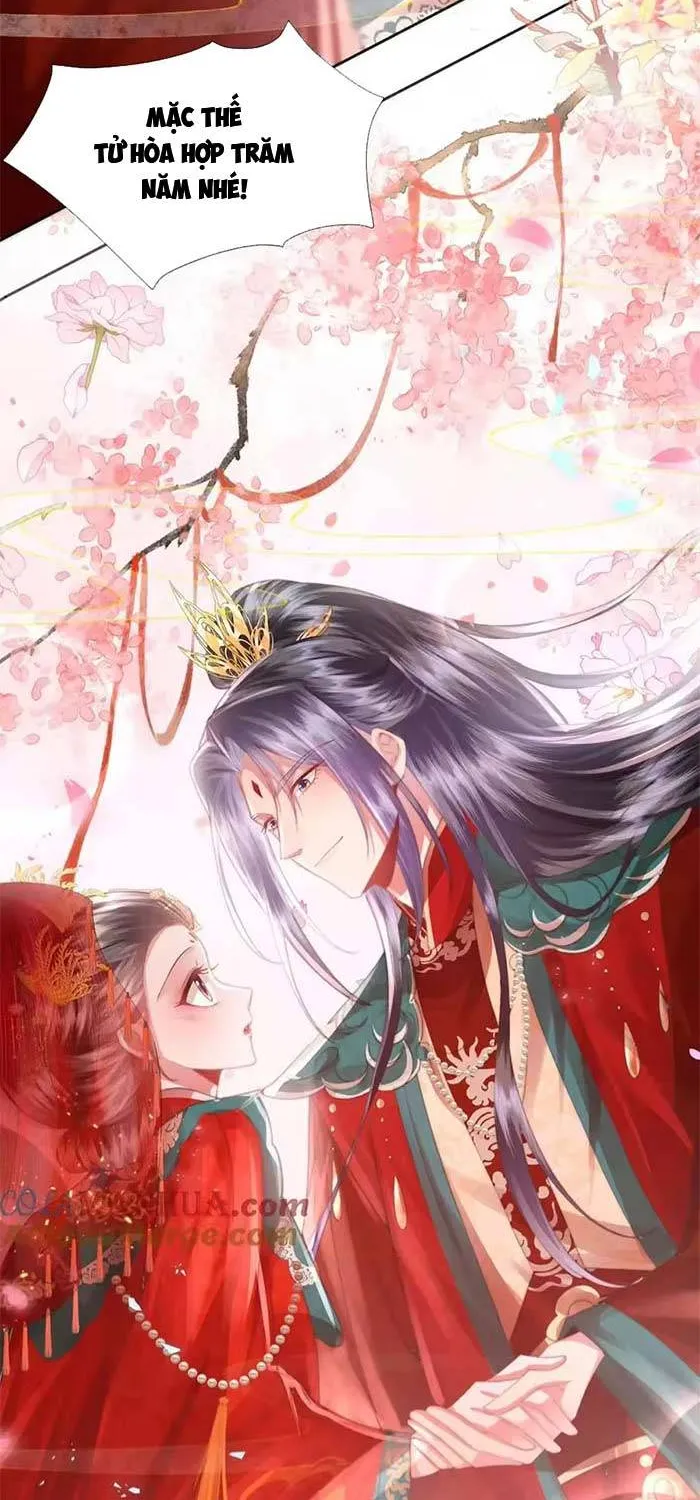 Sau Hắc Hóa Thái Tử Cứ Dính Lấy Vợ Chap 34 - Next Chap 35