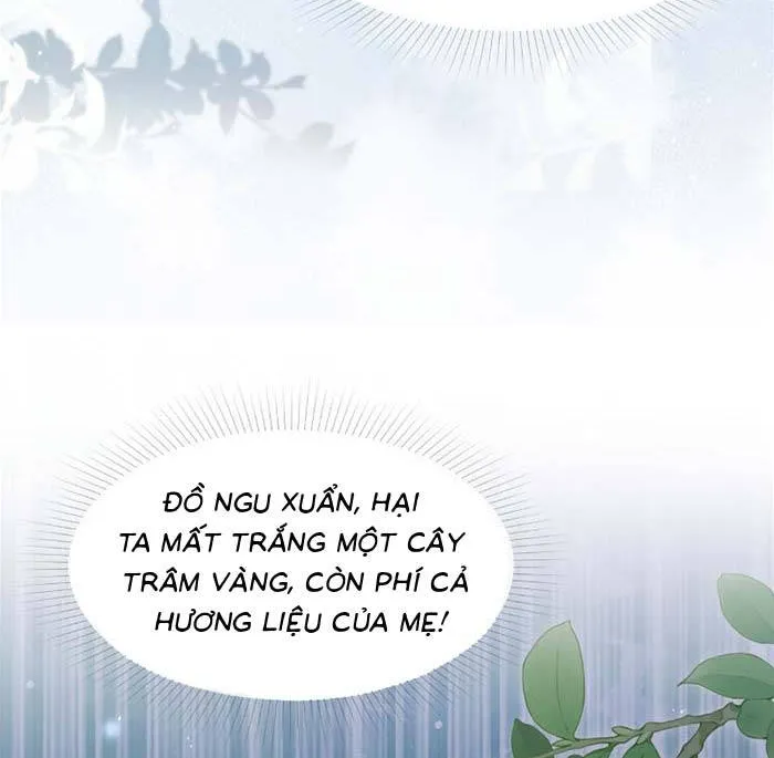 Sau Khi Báo Thù Tỷ Tỷ Ta Làm Hoàng Tử Phi Chap 9 - Next Chap 10