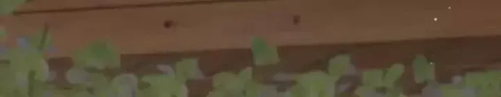 Sau Khi Tự Do Tài Chính, Họ Đã Dâng Hiến Lòng Trung Thành Chap 83 - Next Chap 84