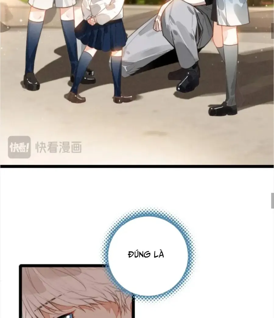 Sau Khi Xuyên Thành Tiểu Bảo Bảo , Cả Nhà Phản Diện Đều Muốn Giết Tôi! Chap 52 - Next Chap 53