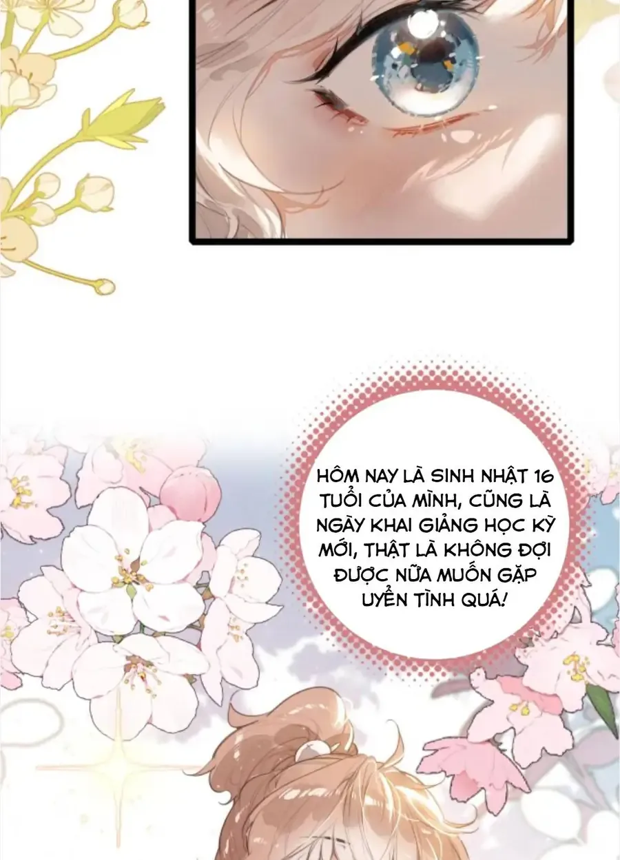 Sau Khi Xuyên Thành Tiểu Bảo Bảo , Cả Nhà Phản Diện Đều Muốn Giết Tôi! Chap 56 - Next Chap 57