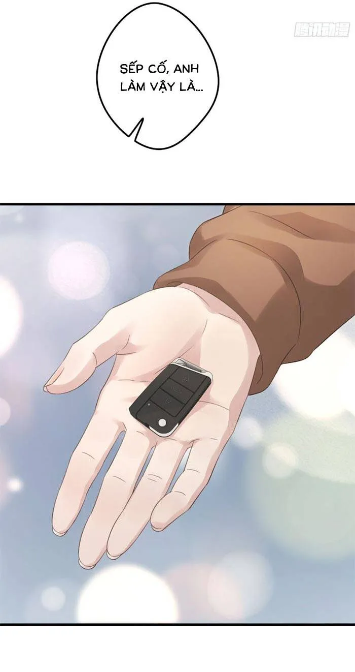 Sau Ly Hôn Chồng Cũ Cứ Muốn Trở Lại Làm Chính Thất Chap 33 - Next Chap 34