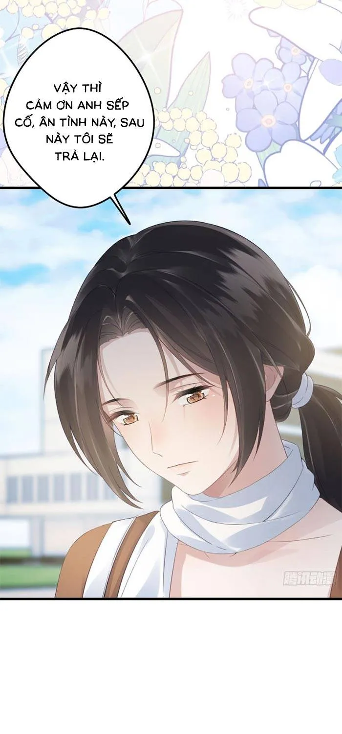 Sau Ly Hôn Chồng Cũ Cứ Muốn Trở Lại Làm Chính Thất Chap 33 - Next Chap 34