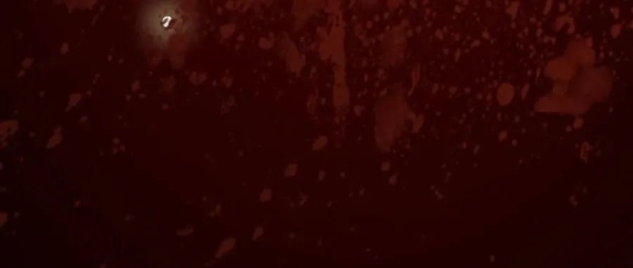 Sau nhiều lần tìm cái chết, ta trở thành đế tôn vạn người mê Chap 4 - Next Chap 5