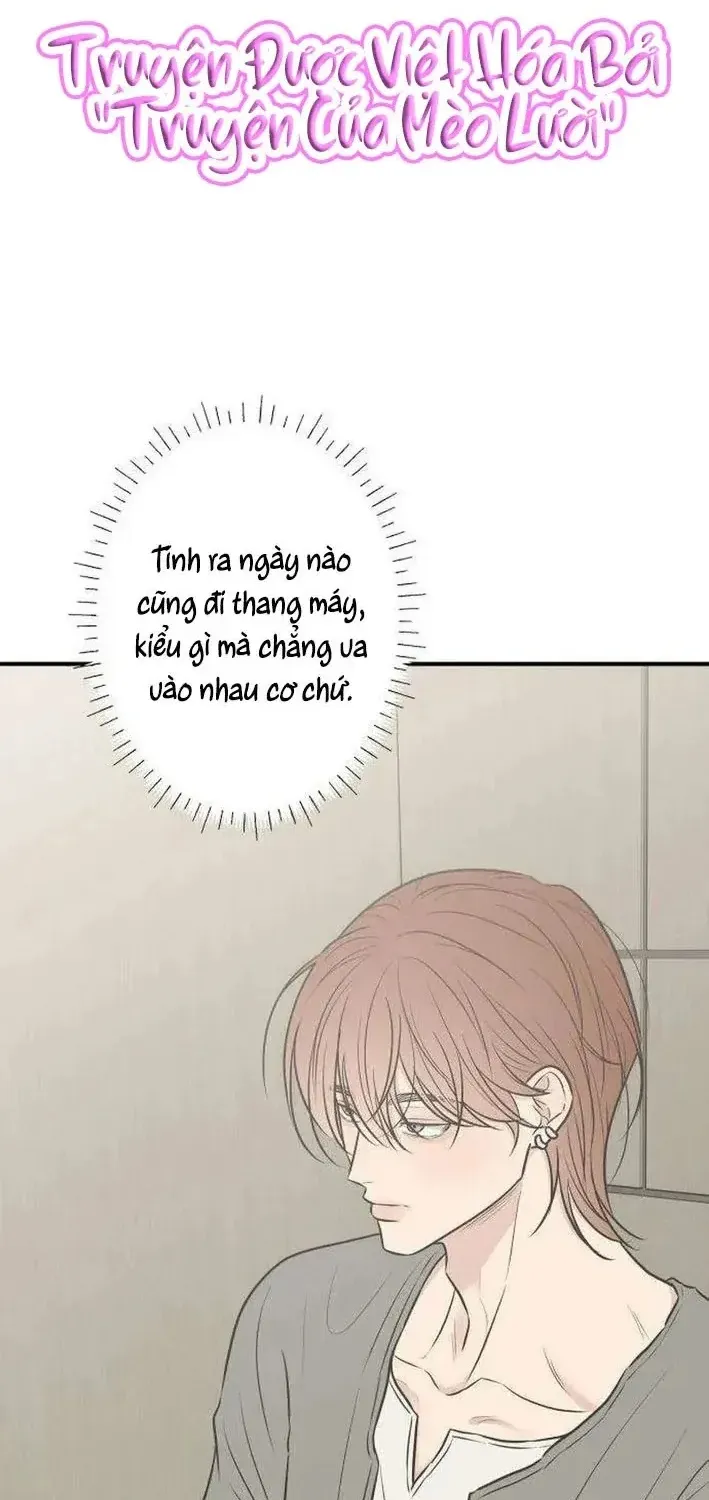 Scandal Giữ Lấy Hôn Nhân Chap 13 - Next Chap 14