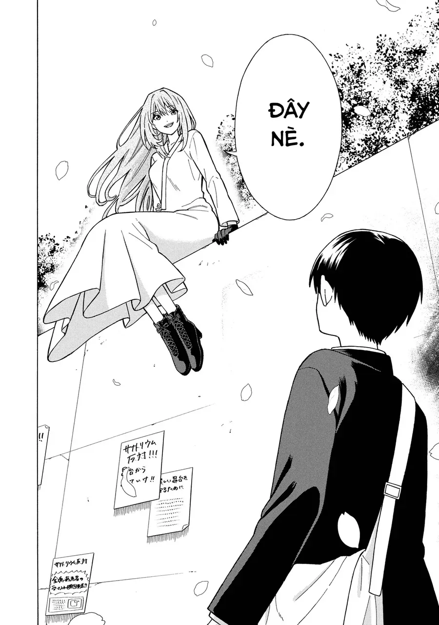 Sẽ Thật Hoàn Hảo Nếu Chị Ra Đi Vào Lúc Hạ Tàn Chap 1 - Next Chap 2