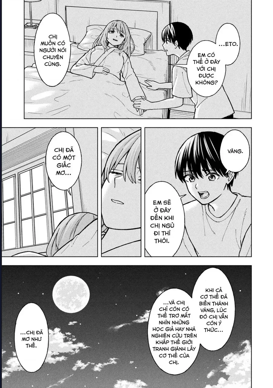 Sẽ Thật Hoàn Hảo Nếu Chị Ra Đi Vào Lúc Hạ Tàn Chap 9 - Next Chap 10