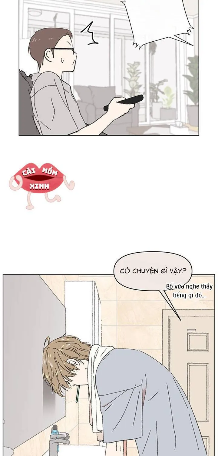 Seasons Of Lovesome Chap 62 - Next Chap 63