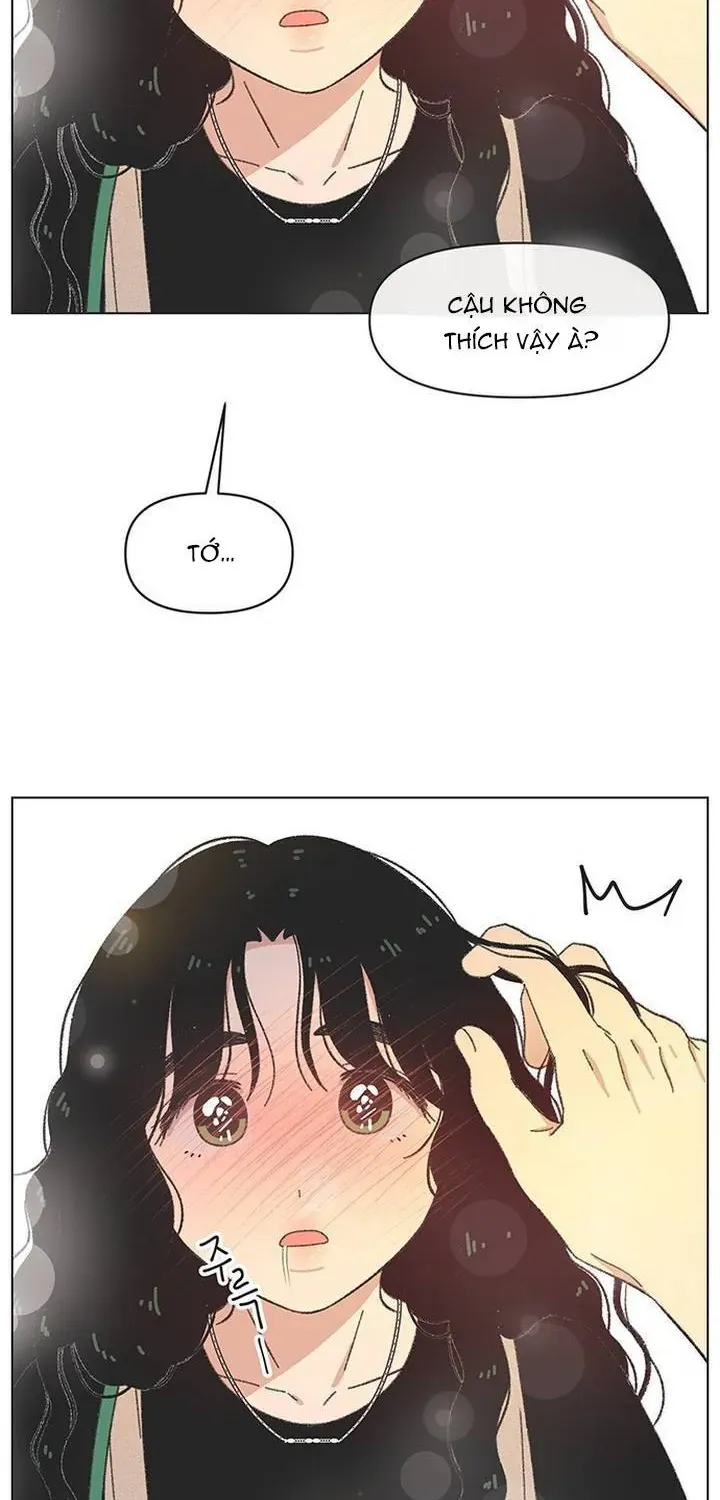 Seasons Of Lovesome Chap 64 - Next Chap 65