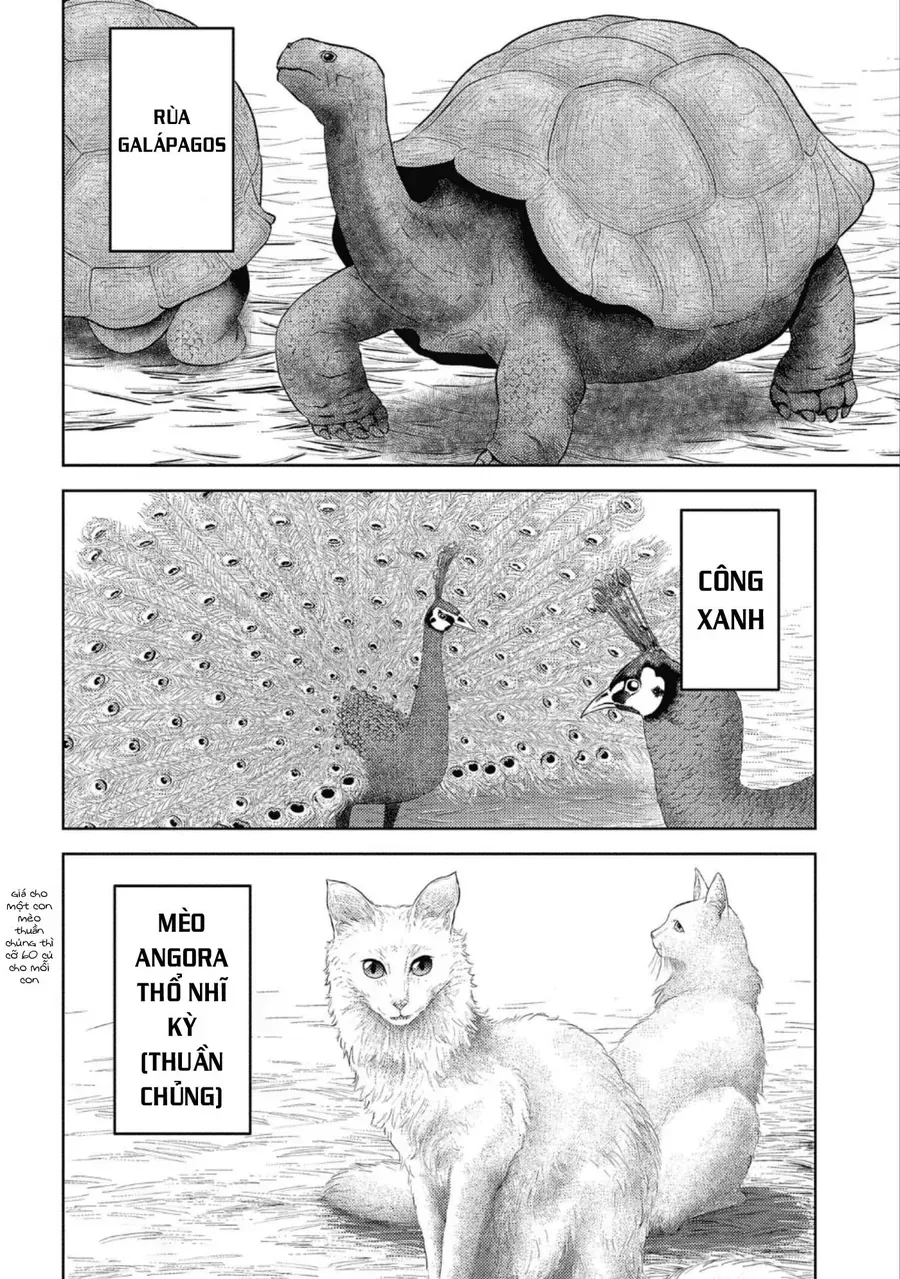 Sengoku Komachi Kurou Tan! Chap 40 - Next Chap 41