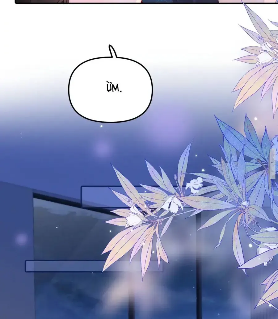 Siêu Cấp Cưng Chiều Chap 53 - Next Chap 54