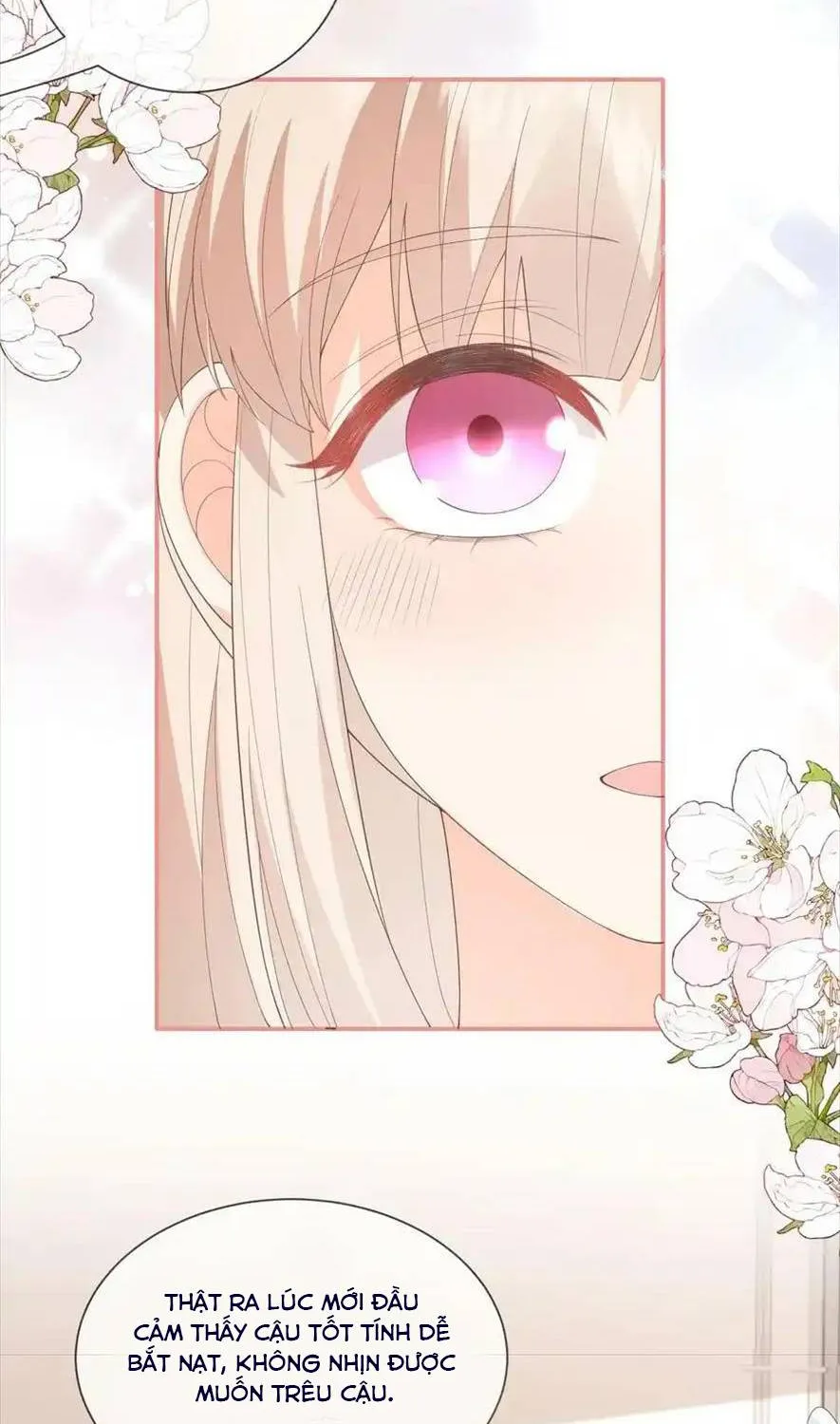 SINH TRỞ LẠI LÀM VỢ TỔNG TÀI Chap 101 - Next Chap 102