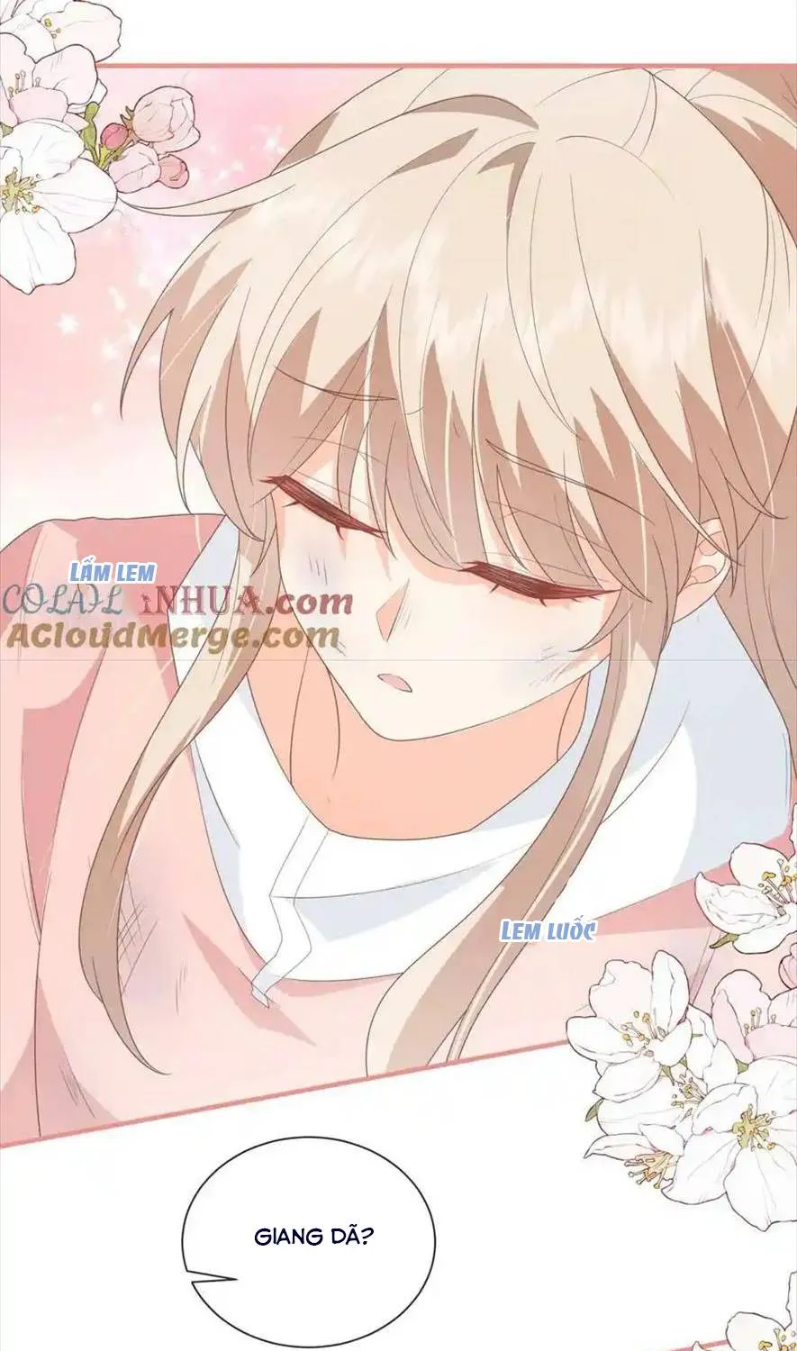 SINH TRỞ LẠI LÀM VỢ TỔNG TÀI Chap 106 - Next Chap 107