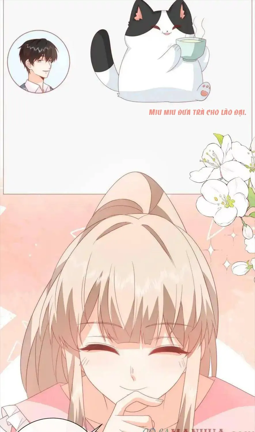 SINH TRỞ LẠI LÀM VỢ TỔNG TÀI Chap 55 - Next Chap 56