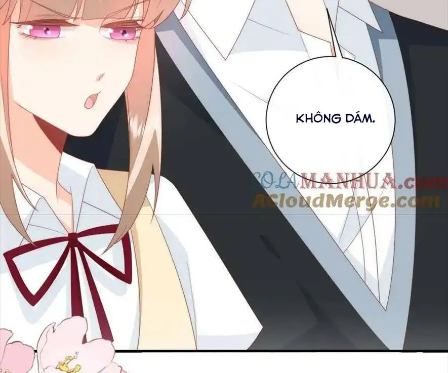 SINH TRỞ LẠI LÀM VỢ TỔNG TÀI Chap 61 - Next Chap 62