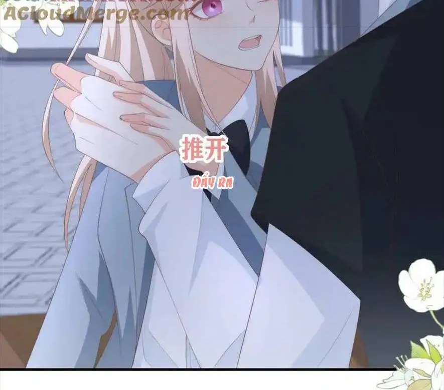 SINH TRỞ LẠI LÀM VỢ TỔNG TÀI Chap 76 - Next Chap 77