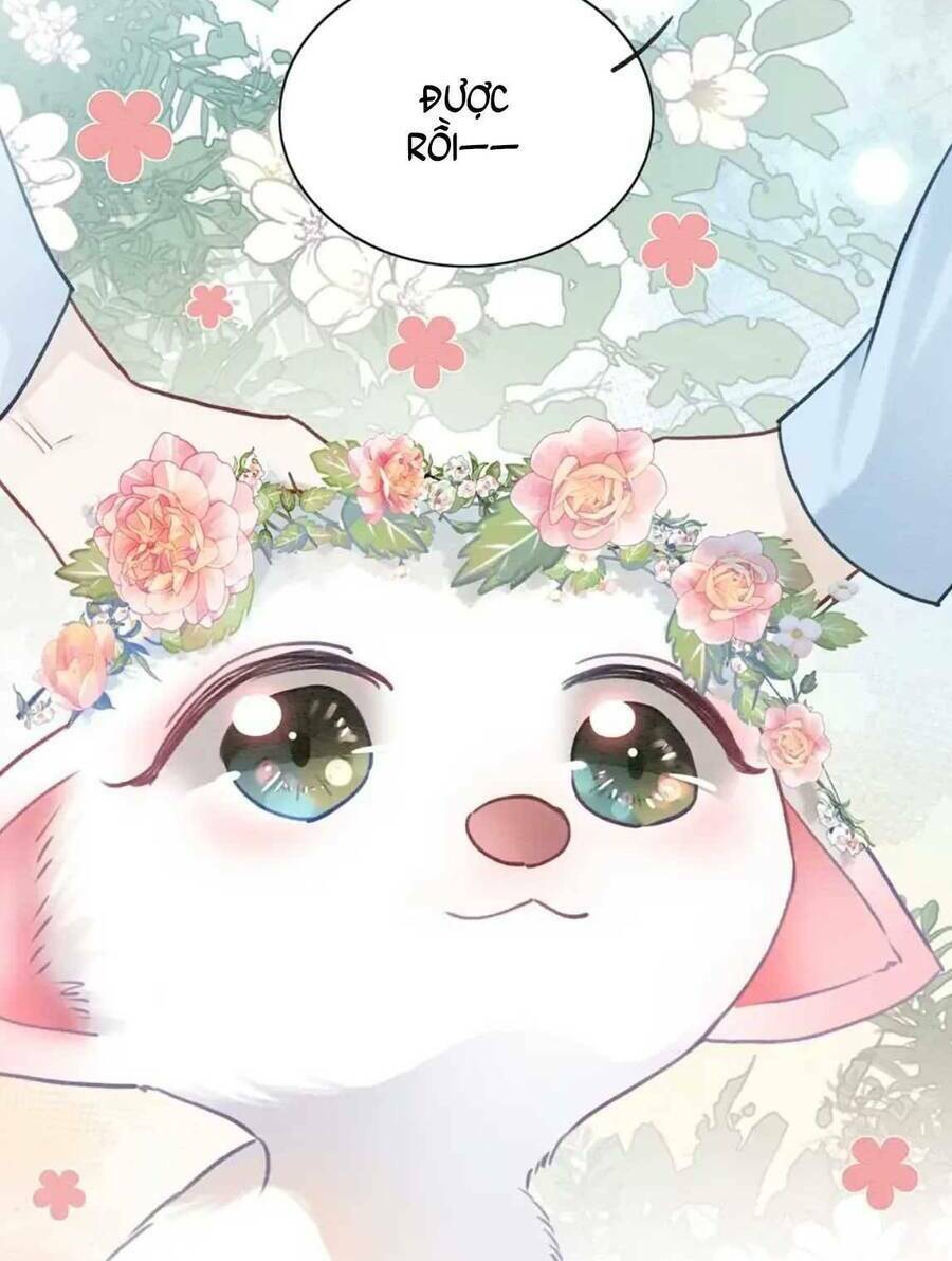 Sổ Tay Công Lược Hắc Liên Hoa Chap 94 - Next Chap 95