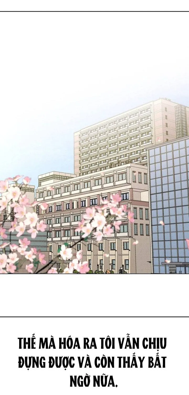 Soái Ca Kiểu Mẫu Chap 19 - Next Chap 20