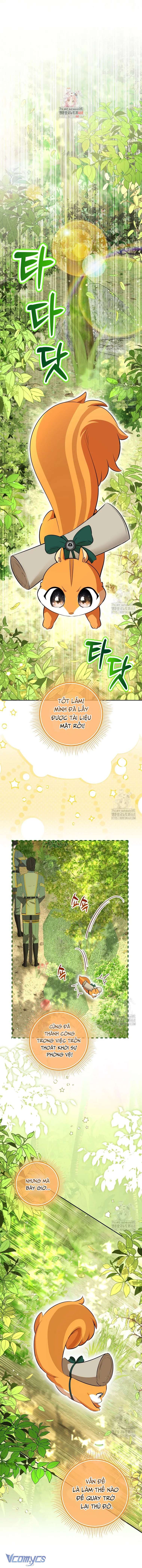 Sóc Con Tài Năng Chap 106 - Next Chap 107