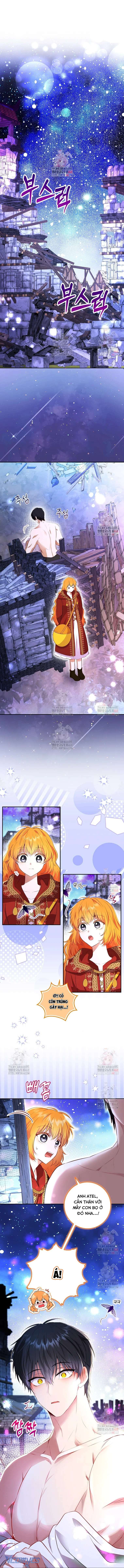 Sóc Con Tài Năng Chap 112 - Next Chap 113