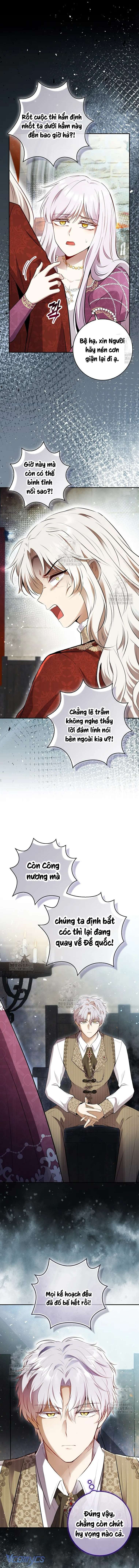 Sóc Con Tài Năng Chap 113 - Next Chap 114