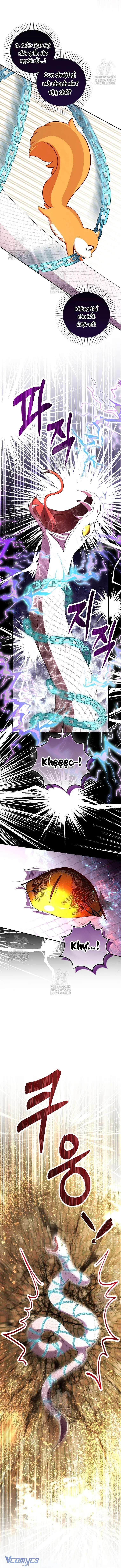 Sóc Con Tài Năng Chap 117 - Next Chap 118