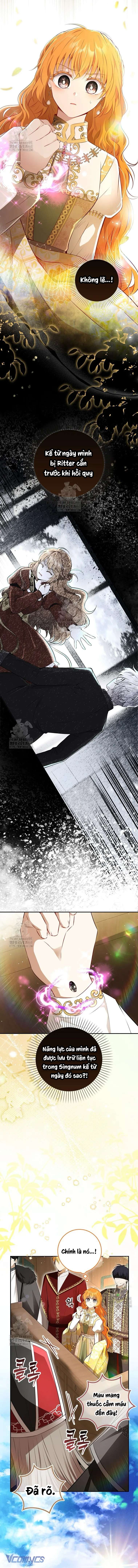 Sóc Con Tài Năng Chap 117 - Next Chap 118