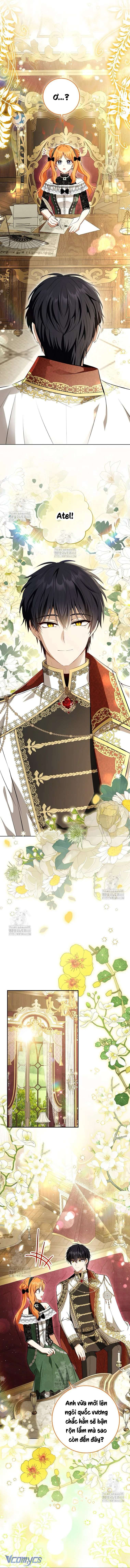 Sóc Con Tài Năng Chap 118 - Next Chap 119