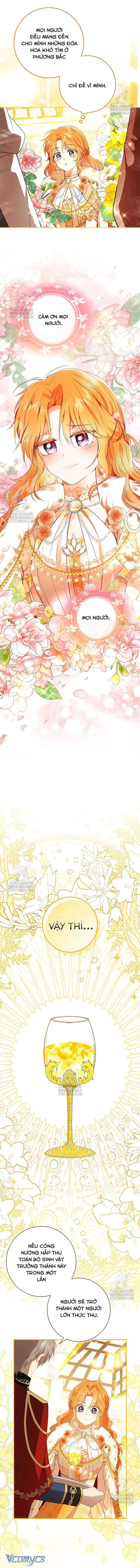 Sóc Con Tài Năng Chap 119 - Next Chap 120