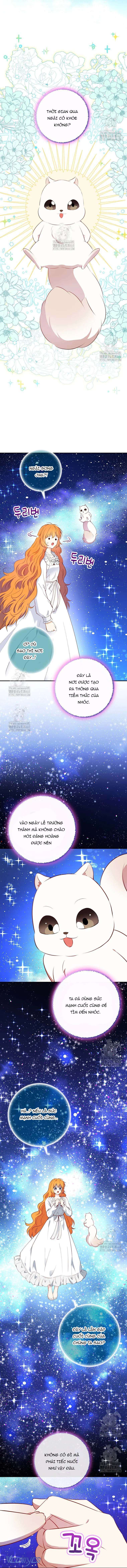 Sóc Con Tài Năng Chap 122 - Next Chap 123