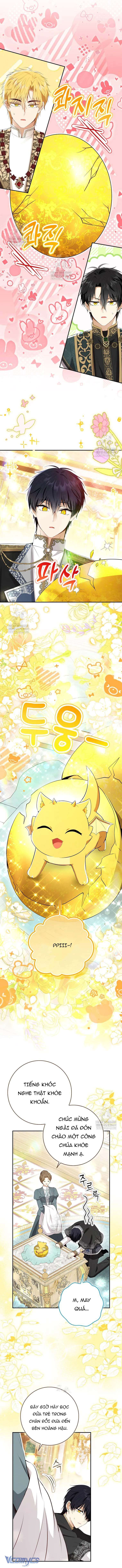 Sóc Con Tài Năng Chap 128 - Next Chap 129