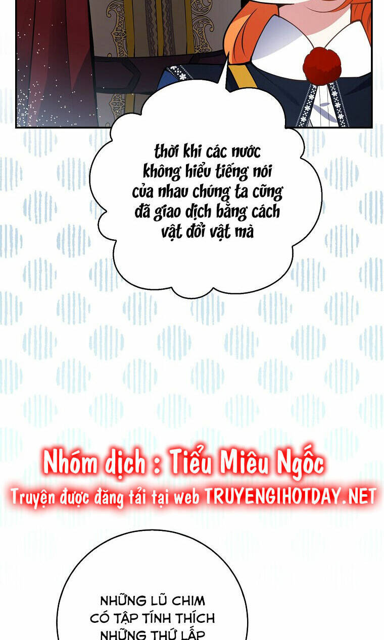 Sóc Nhỏ Tài Năng Chap 50 - Next Chap 51