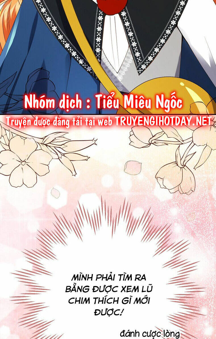 Sóc Nhỏ Tài Năng Chap 50 - Next Chap 51