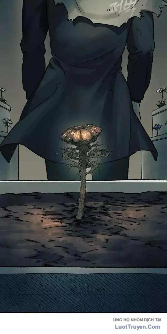 Sống Sót Qua Ngày Tận Thế Chap 102 - Next Chap 103