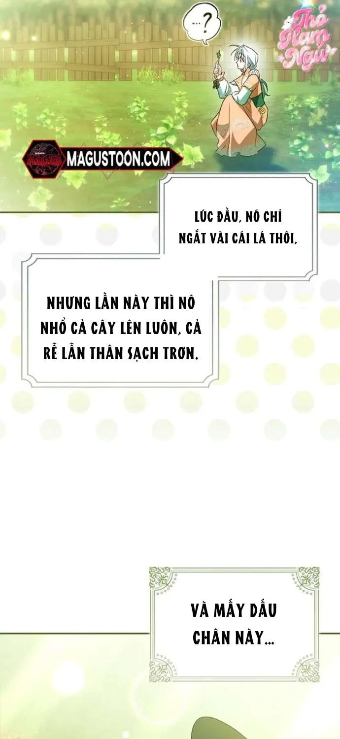 [ SS2 ] Chồng Của Tôi Giống Nam Chính Quá Đi Chap 14 - Next Chap 15