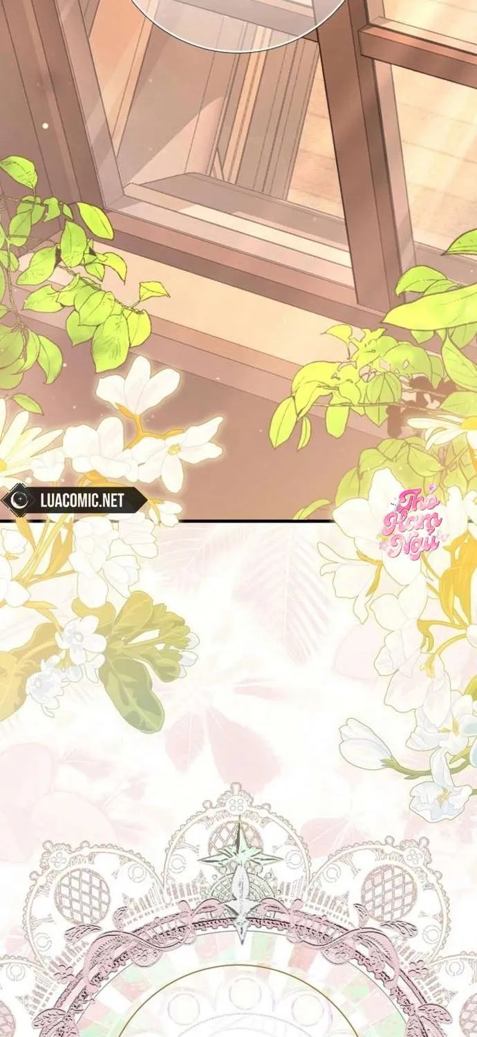 [ SS2 ] Chồng Của Tôi Giống Nam Chính Quá Đi Chap 24 - Next Chap 25