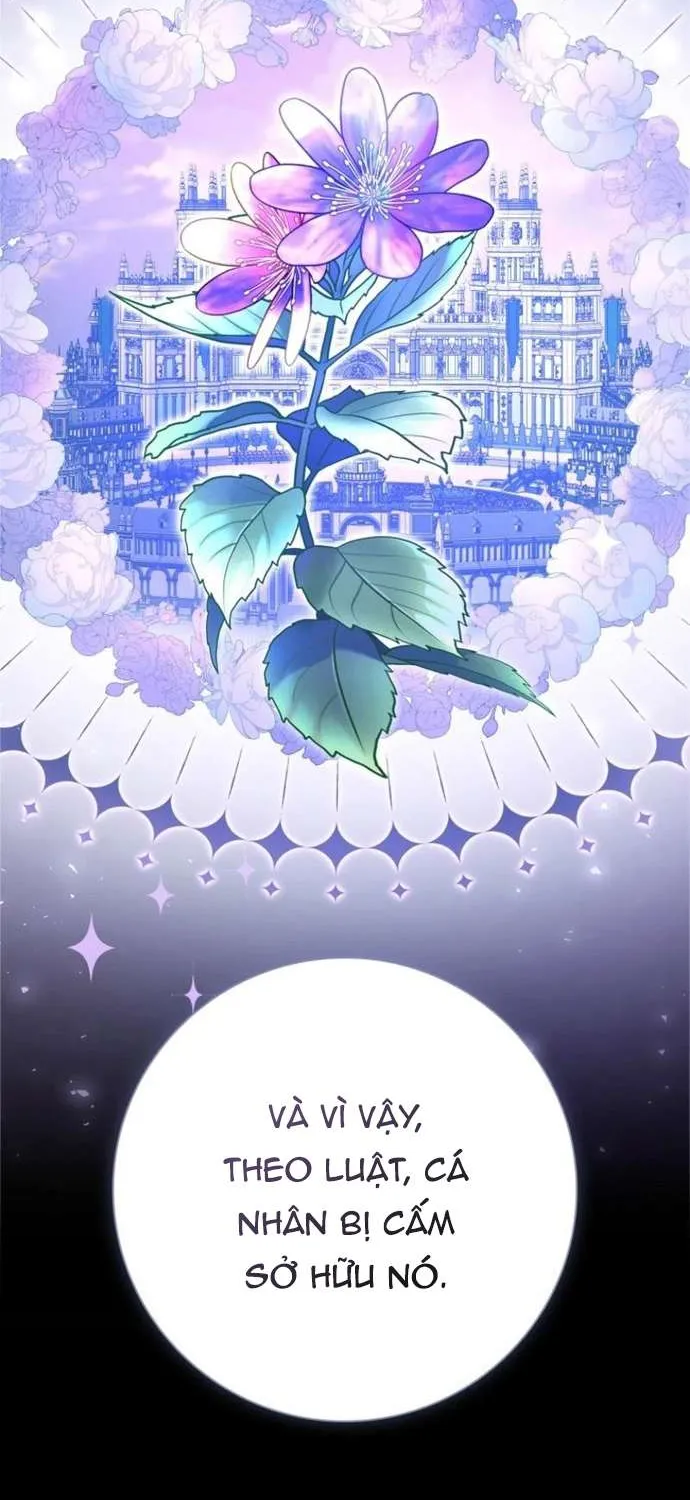 [ SS2 ] Chồng Của Tôi Giống Nam Chính Quá Đi Chap 25 - Next Chap 26