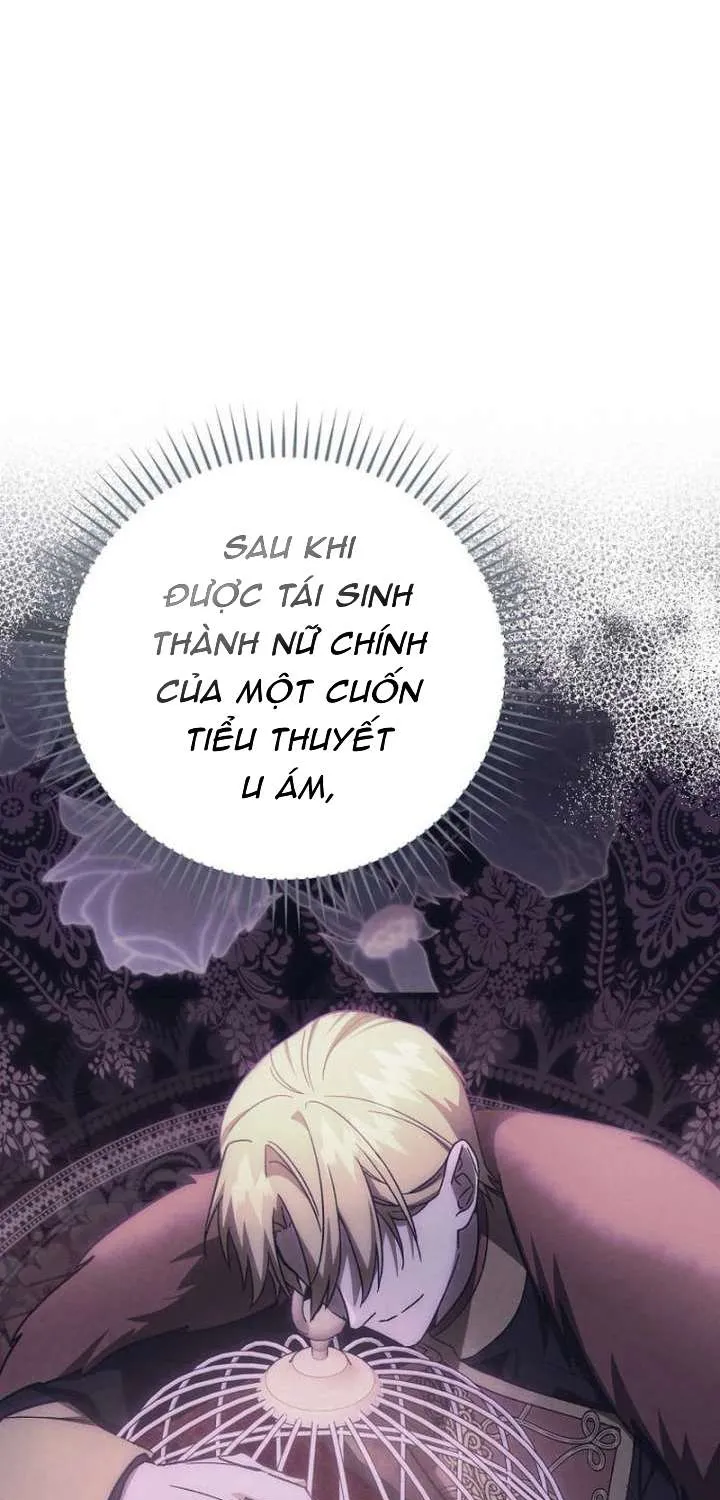 [ SS2 ] Chồng Của Tôi Giống Nam Chính Quá Đi Chap 36 - Next Chap 37
