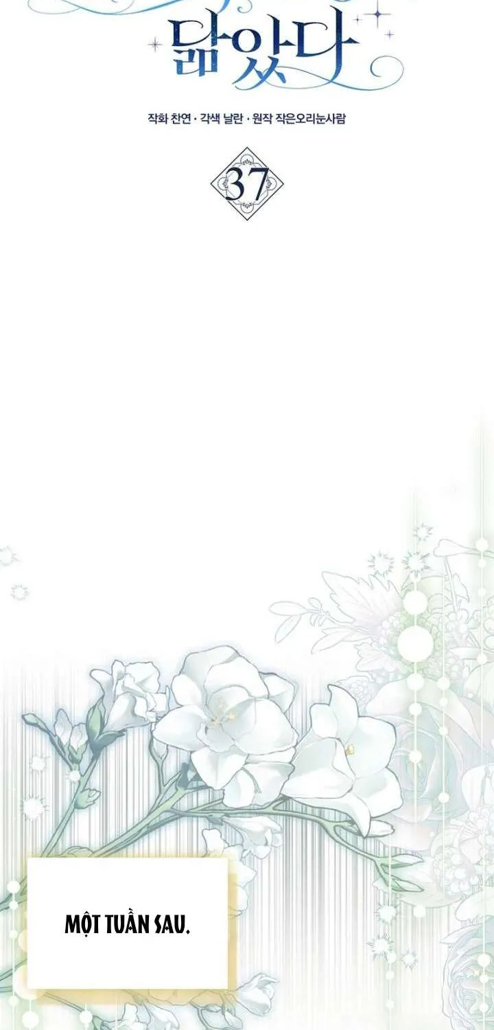 [ SS2 ] Chồng Của Tôi Giống Nam Chính Quá Đi Chap 37 - Next Chap 38