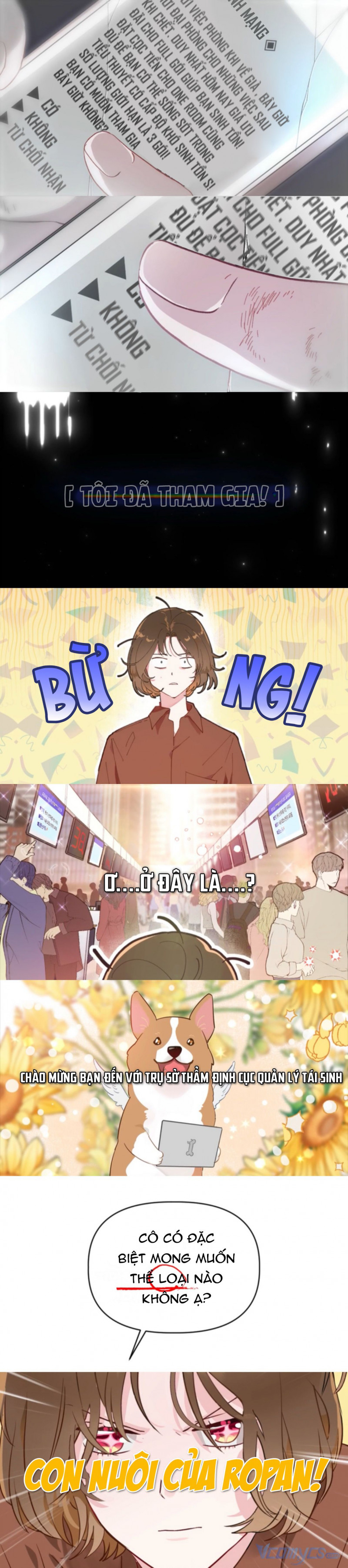 Sự Điều Trị Đặc Biệt Của Tinh Linh Chap 0 - Next Chap 1